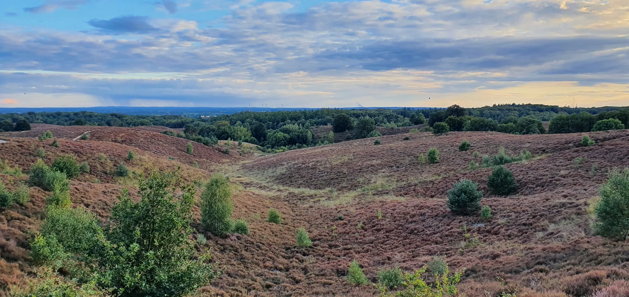 Smal fietspad slingerend door droge heide onder een blauwe lucht