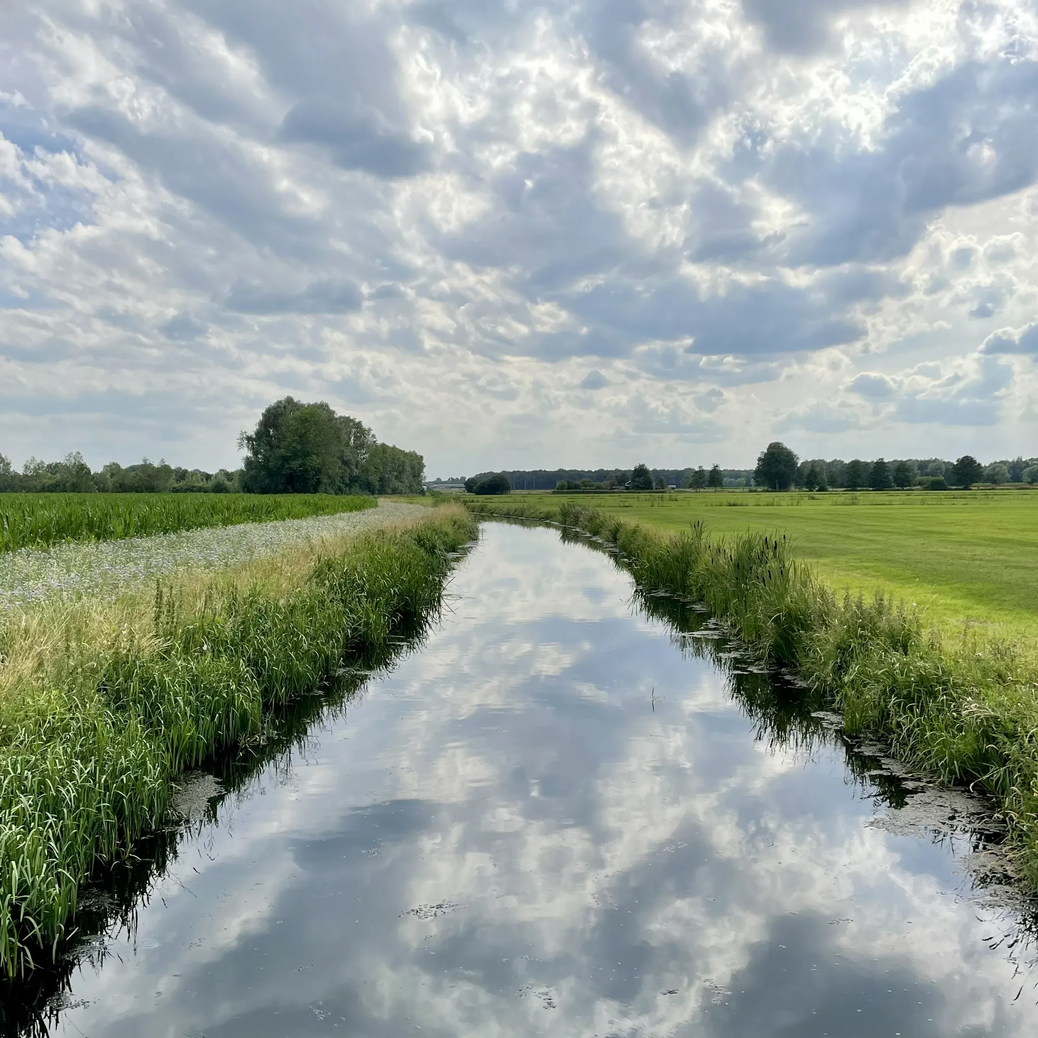 Weerspiegeling van wolken in een kaarsrecht kanaal tussen weilanden